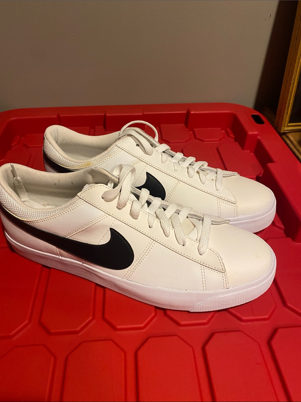 Nike White Leather Low-Top Sneakers with Black Swoosh